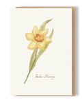Easter Daffodil