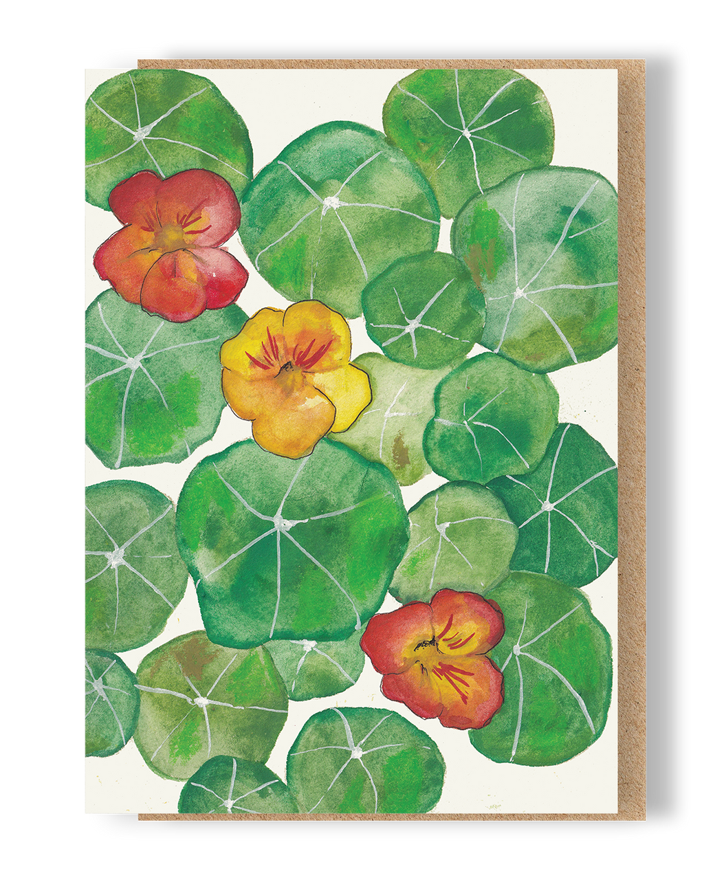 Nasturtiums