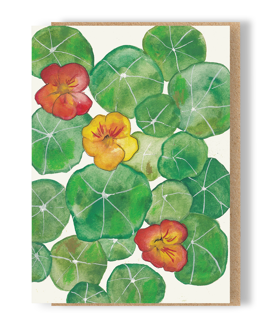 Nasturtiums