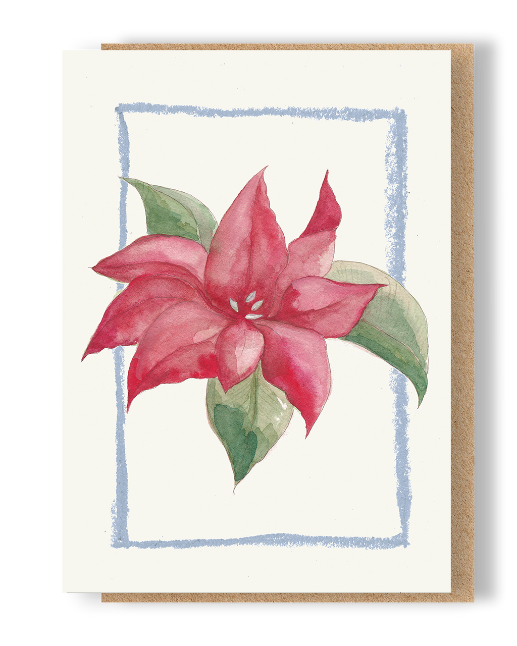 Christmas Poinsettia