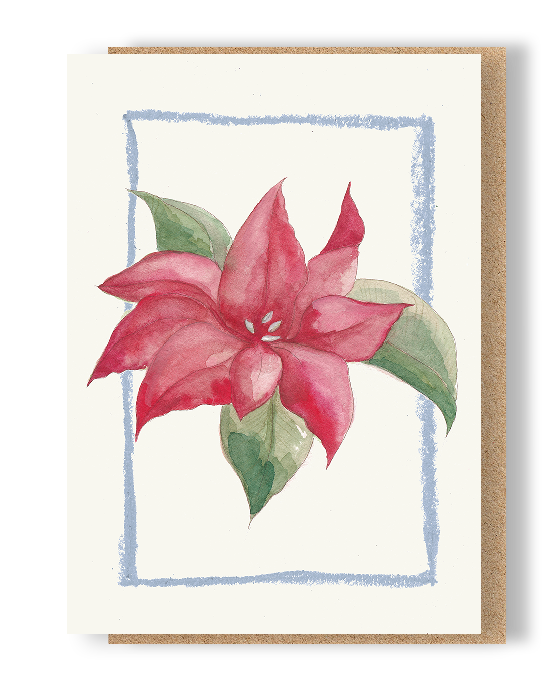 Christmas Poinsettia